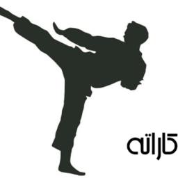 کاراته شیتوریو