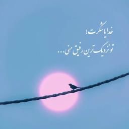 Hooshyar