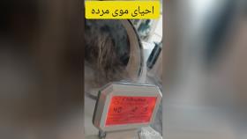 مرکز کراتینه سپیده فراهانی