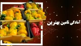 مجموعه تامین و صادرات محصولات گلخانه ای مهندس اکبر رضایی