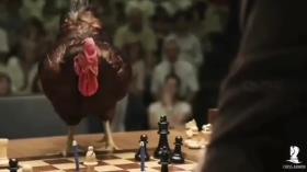 شطرنج حیوانات