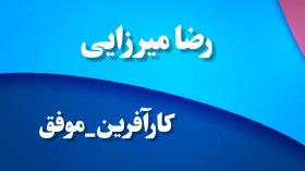 رضا میرزایی، کارآفرین موفق