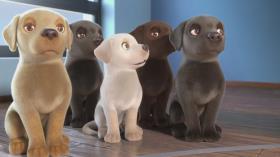 انیمیشن کوتاه - pip - سگ های راهنما - بیشترین بازدید