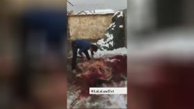 قصابی و فروش گوشت خر در آذربایجان