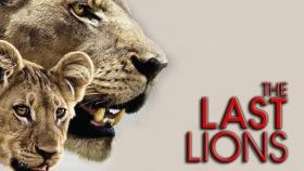 مستند آخرین شیر The Last Lions 2011