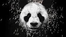 اهنگ panda remix از desiigner