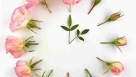بهترین راهکار برای آسانی مرگ حجتالاسلام رفیعی دانلود بشرط صلوات بر حضرت محمد و