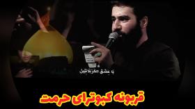 کبوتر حرم با صدای کربلایی حسین طاهری و همراهی حاج محمود کریمی