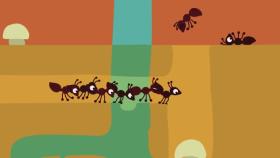انیمیشن کوتاه مورچه !