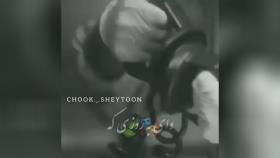 Chook._.sheytoon