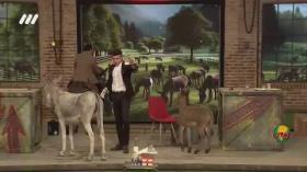 شیر دوشیدن تو برنامه زنده از خر و خر سواری مجری