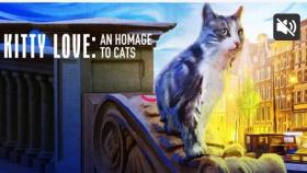 فیلم مستند عشق به بچه گربه ها 2021 دوبله فارسی