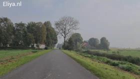 جاده و مسیر زیبا در هلند