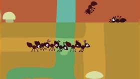 انیمیشن زیبای مورچه
