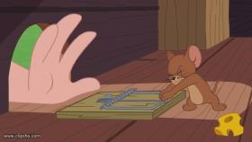 کارتون تام و جری این داستان آغاز موش و گربه