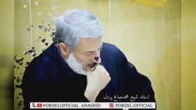 ویدیویی از شیخ صالح پردل