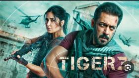 فیلم هندی تایگر 3 با دوبله فارسی Tiger 3 2023 WEB-DL