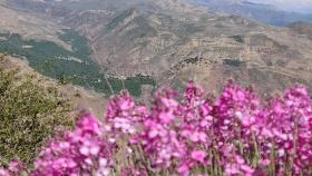 Location: قزوین، الموت، روستای آکوجان، #سمندکوه