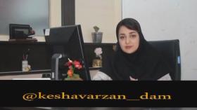 بهترین زمان برای پیوند زدن درختان