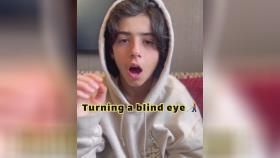 معنی turning a blind eye