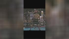 #تایسون #tyson