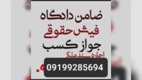 ضامن کفالت دادگاه/ضامن کفالت دادسرا 09199285694