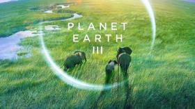 مستند سیاره زمین 3 محصول 2023 - قسمت 4
