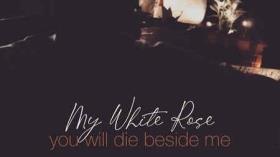 آهنگ White rose /آهنگ رز سفید من