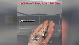 استتار در قرآن