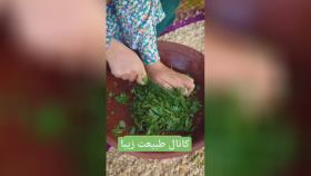 حس خوب زندگی روستایی اشتراک فراموش نشه #طبیعت_زیب
