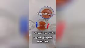 درمان‌های مختلف با خاکشیر