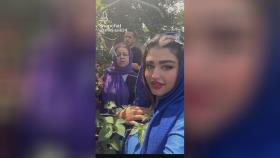 آشنایی بااینما