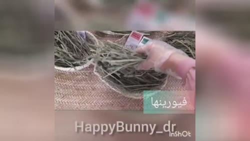 علوفه جوندگان 