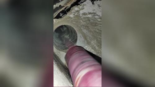 کرگیری در تهران